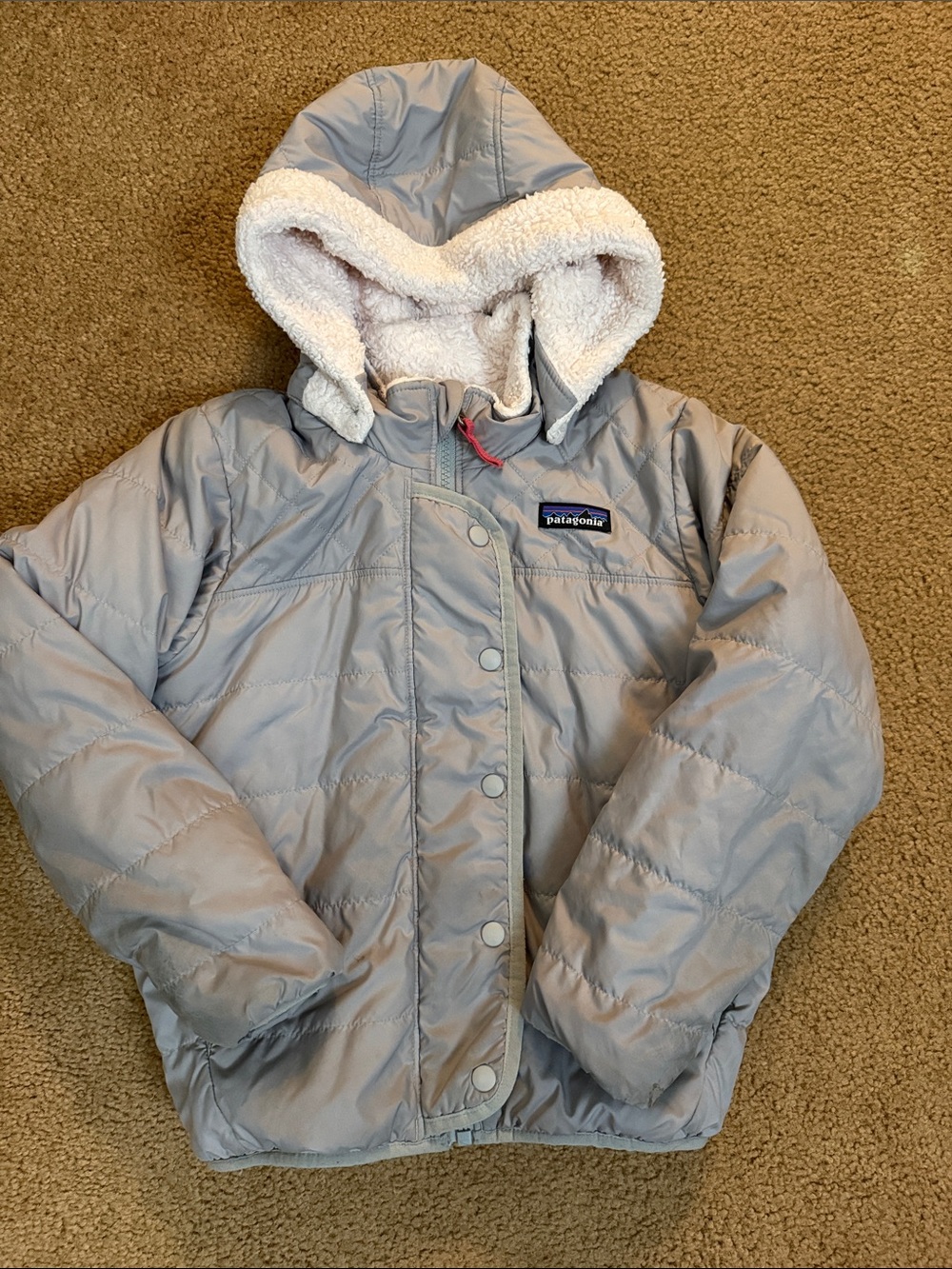 Patagonia Kids Light Gray Hooded Puffer with Sherpa Lining